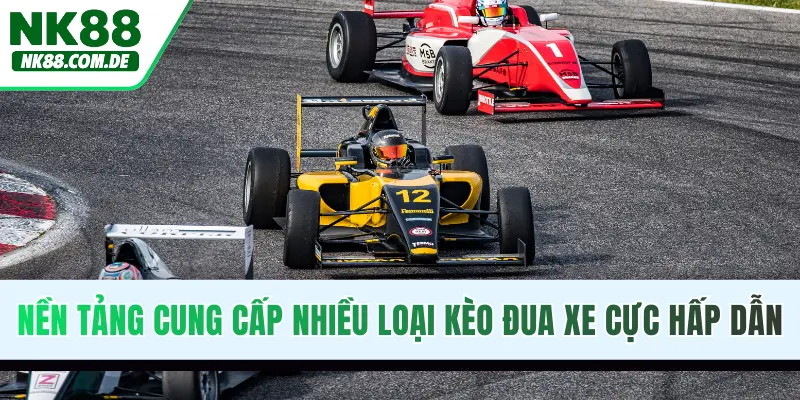 Nền tảng cung cấp nhiều loại kèo đua xe cực hấp dẫn